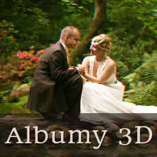 Albumy 3D